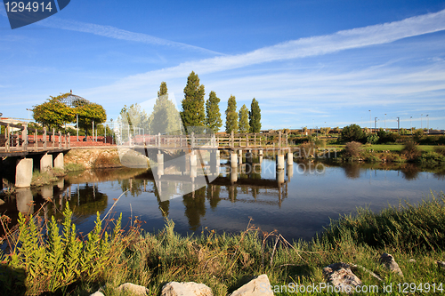 Image of The garden and the lake.