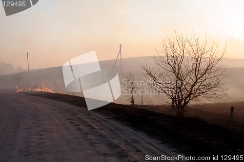 Image of Fire in the field