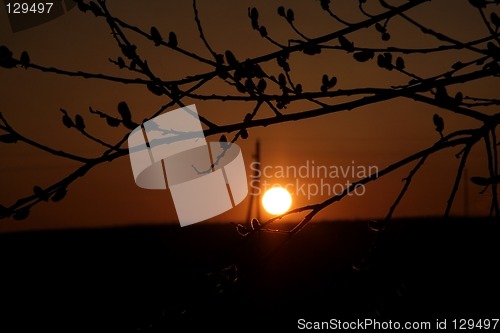 Image of Sunset