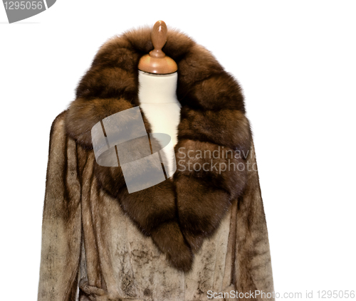 Image of Fur Coat