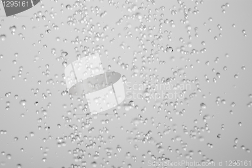 Image of Water flowing in the shower