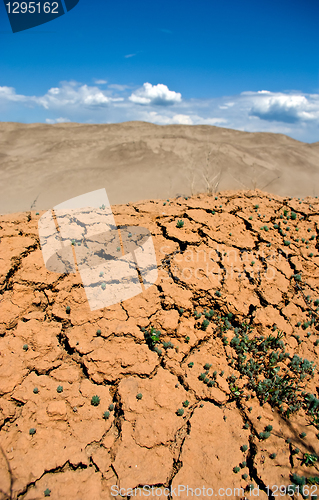 Image of cracked earth, a desert