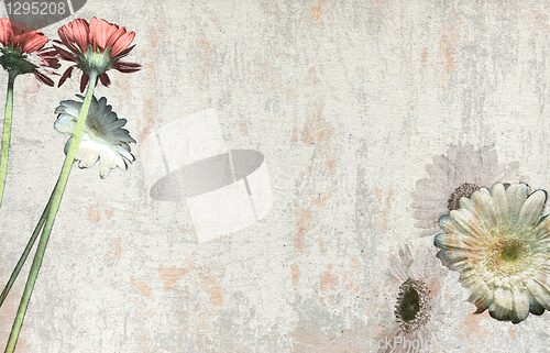 Image of old floral paper scratched background