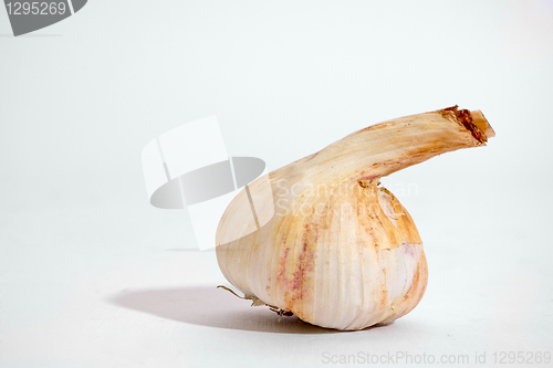 Image of Garlic