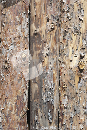 Image of log fence close up shot for background