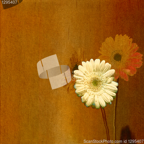 Image of old floral paper scratched background