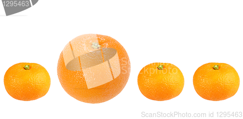 Image of Orange and tangerine in row