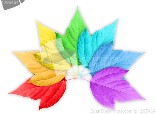 Image of Colorful Rainbow Gradient with Group of Leafs