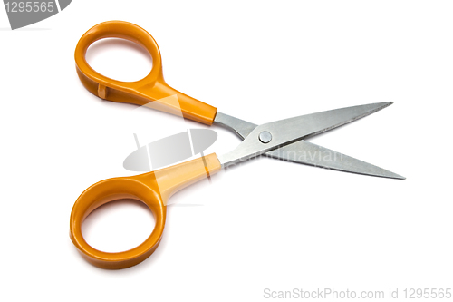 Image of Handled scissors 