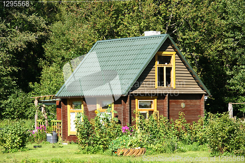 Image of The wooden house