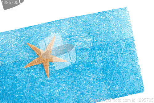 Image of Sea star blue envelope