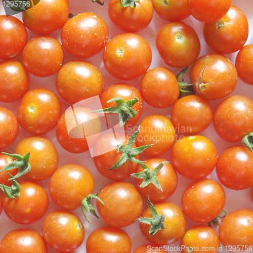 Image of Cherry Tomatoes