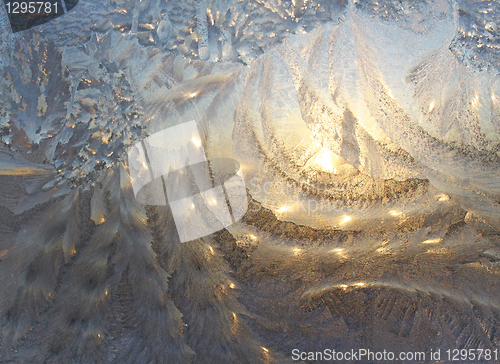 Image of Winter glass