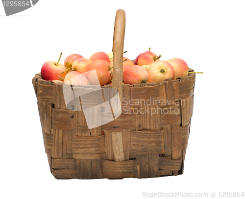 Image of Crop of apples.