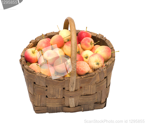 Image of Crop of apples.
