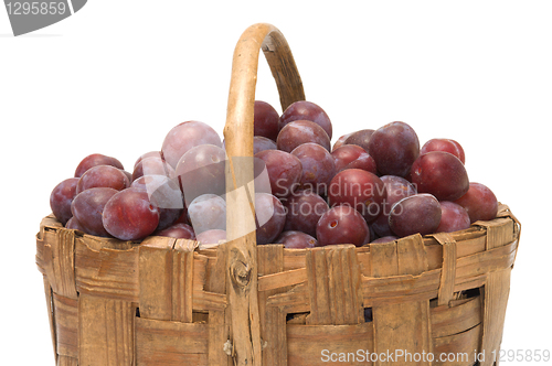 Image of Crop of plums.