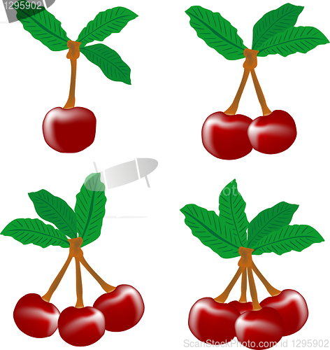 Image of perfect sweet cherries with the leaf isolated on white