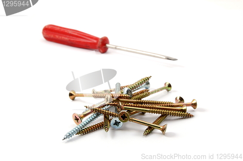 Image of screws on white