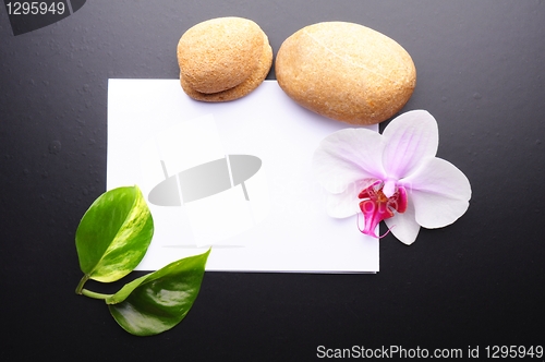 Image of zen or spa