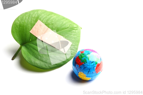 Image of ecology