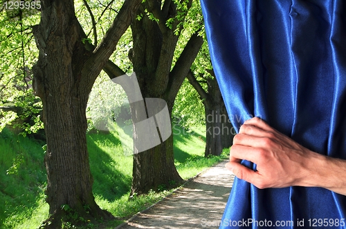 Image of park and blue curtain