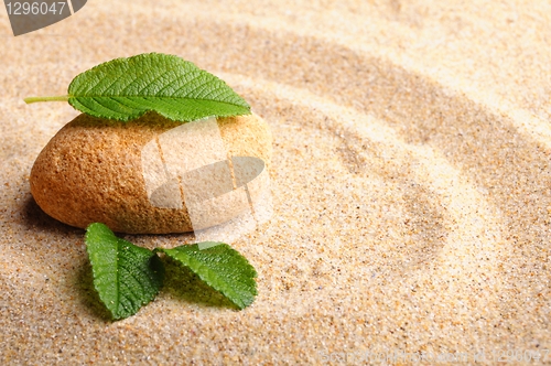 Image of zen stone with leaf
