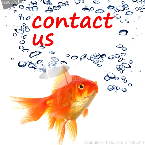 Image of contact us