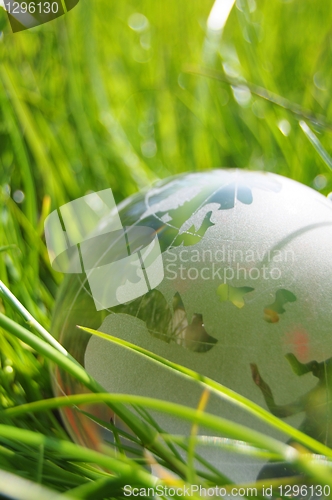 Image of glass globe or earth in grass