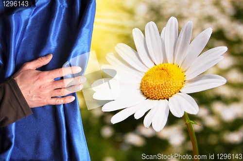Image of summer flowers
