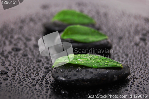 Image of zen stone wellness concept