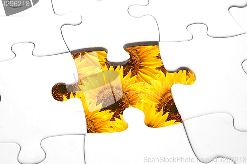 Image of puzzle and flower