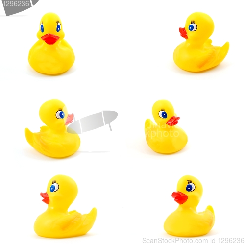 Image of toy rubber duck