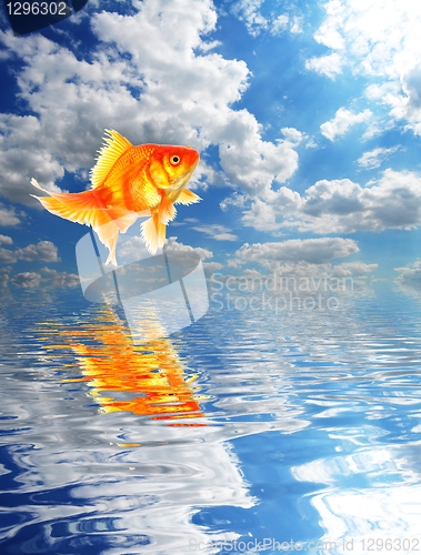 Image of blue sky and goldfish