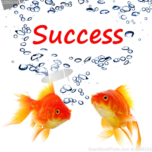 Image of success