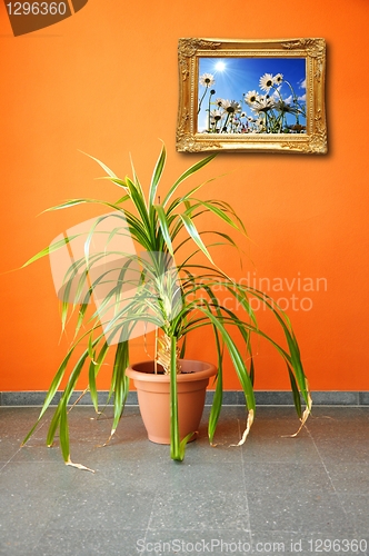 Image of picture on a wall and plant