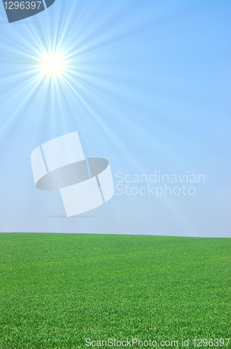 Image of green landscape