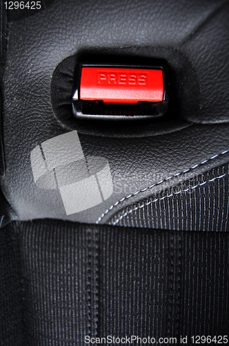 Image of seat belt