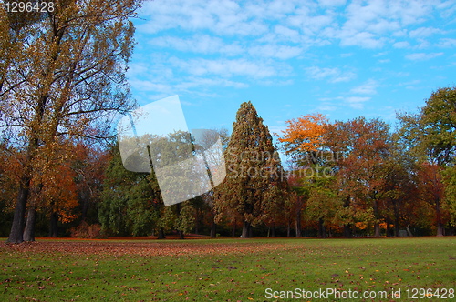 Image of fall in the park with green trees under blue sky