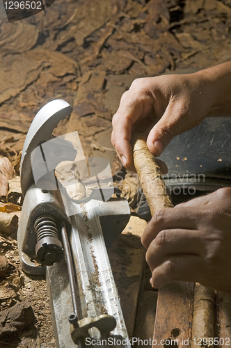 Image of hand rolling cigar production