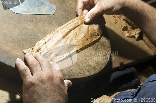 Image of hand rolling cigar production