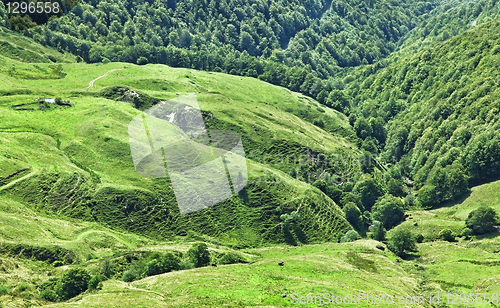 Image of Volcanic plateau in Cantal