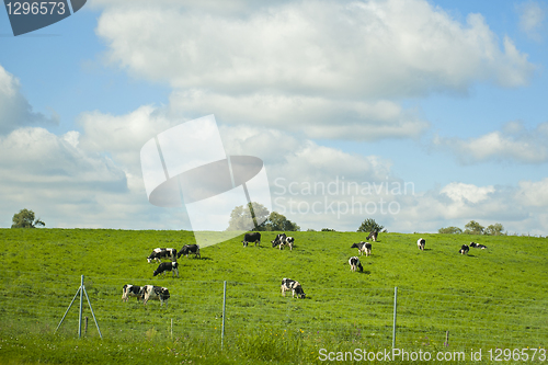 Image of Idyll landscape