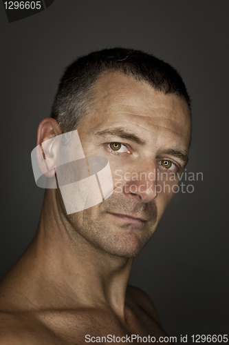 Image of handsome male portrait