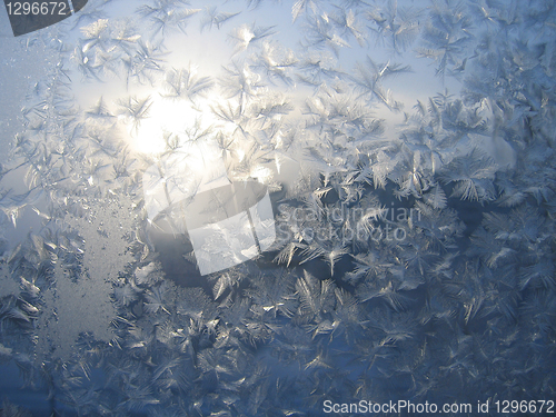 Image of frost and sun