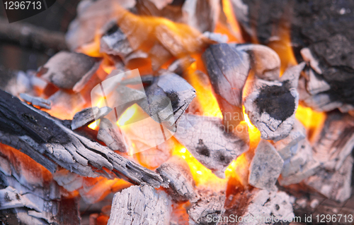 Image of Decaying red coals of a tree in a fire 