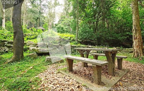 Image of Picnic place in forest 