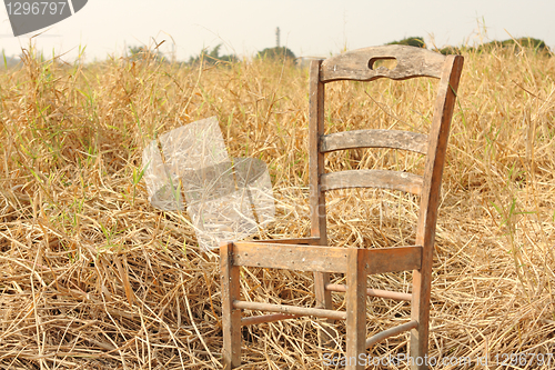 Image of broken chair on yellow grass