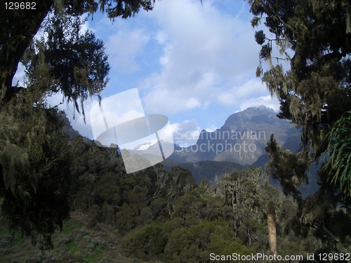 Image of Mount Margherita in Rwenzori