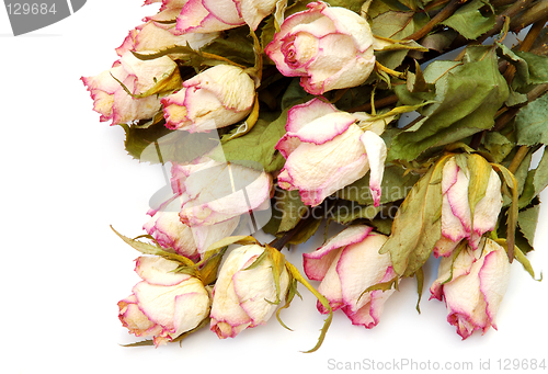 Image of Dried roses