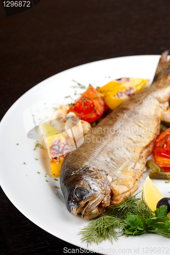 Image of trout fish
